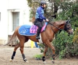 【ニュージーランドＴ】ヒズマスターピースは奥村武厩舎で再出発　前走までは異例の転身をする国枝元調教師が管理