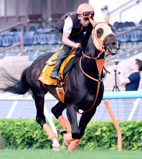 【香港・チャンピオンズマイル】ジャンタルマンタルは６番枠　シュトラウスは７番枠に決定