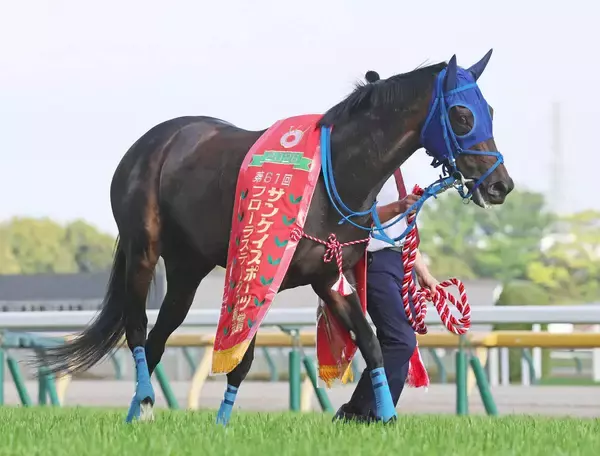 【注目馬動向】フローラＳを勝ったラフターラインズはオークスへ　サンデーサラブレッドクラブが発表