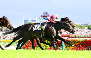 【日本ダービー】１番人気のロブチェンが７９４４頭の頂点に　新種牡馬ワールドプレミア産駒は初出走で初勝利