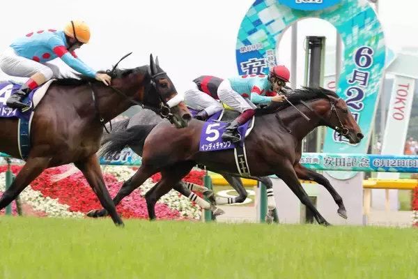 【ＰＯＧ】伯父にＧ１・２勝インディチャンプ　７日阪神初陣の良血レゾルーティオは動き良好　坂口調教師「勝負になると思います」