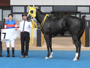 【函館２Ｒ・３歳未勝利】レジェンド止まらない！　武豊騎手が函館参戦初日いきなり勝利「番手で競馬ができました」
