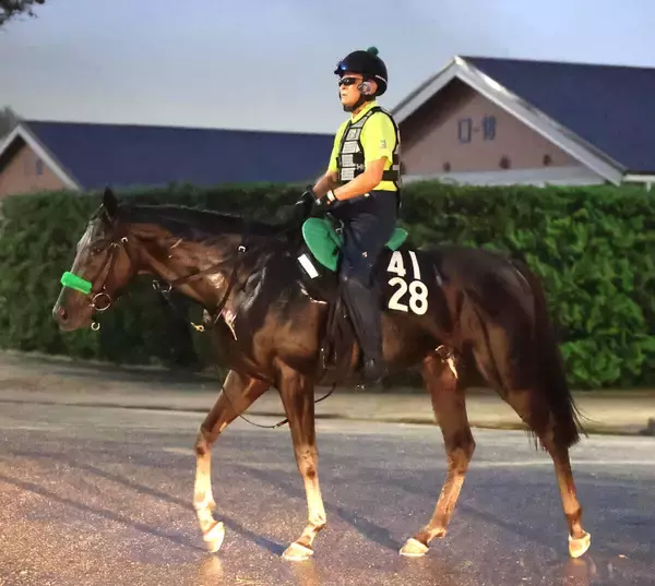 【セントライト記念・超ブル診断】日本ダービー組は４着馬が魅力も高配の使者は別路線組
