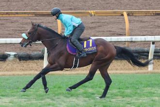 【注目馬動向】サンライズジパングは有馬記念　陣営「この時期の中山は合っている」鞍上は調整中