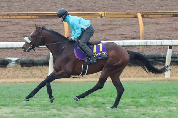 【注目馬動向】サンライズジパングは有馬記念　陣営「この時期の中山は合っている」鞍上は調整中