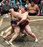 「【大相撲】熱海富士が戦後静岡県勢初の三役昇進目指す　うま年生まれの年男　新春インタビュー」の画像1