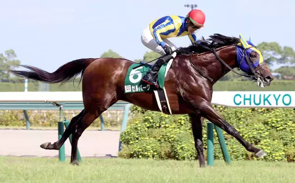２０２３年の中京記念を制したセルバーグが引退　今後は乗馬に