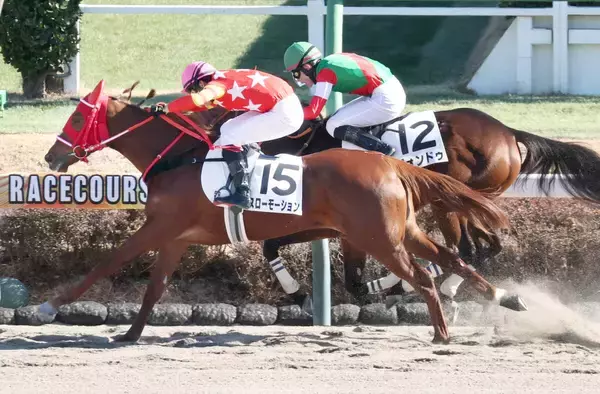 【中山５Ｒ・３歳新馬】８番人気のスローモーションがゴール前で差し切って勝利　長岡騎手「馬に感謝」