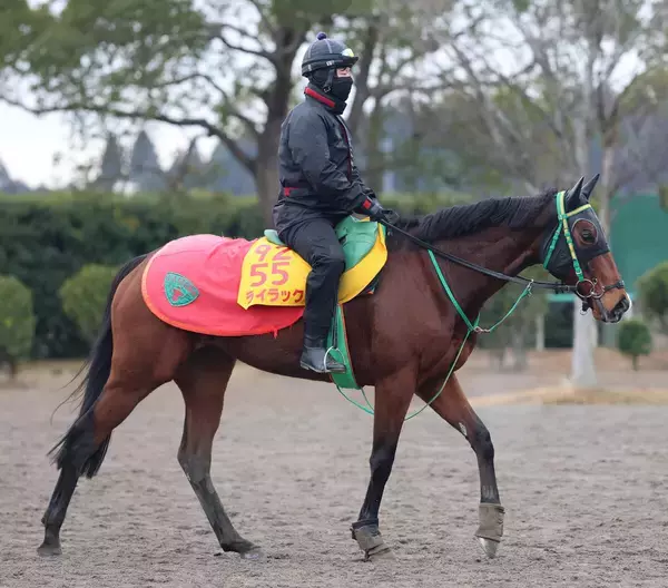 【日経新春杯・浅子の特注馬】ライラックは前走時に激走示唆の充実ぶり　父オルフェ譲りの意外性で７歳牝馬期待
