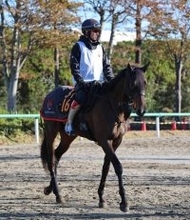【注目馬動向】東京スポーツ杯２歳Ｓで３着のライヒスアドラーは報知杯弥生賞へ目標変更