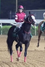 【１３５１ターフスプリント】二刀流シンフォーエバーはまさかの最下位１３着　戸崎圭太騎手「もう少し距離があった方が」