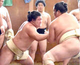 「幕内・藤ノ川が連日の出稽古　上位総当たりの春場所へ琴桜、高安の胸を借りる　「押し込むことはできていた」」の画像1