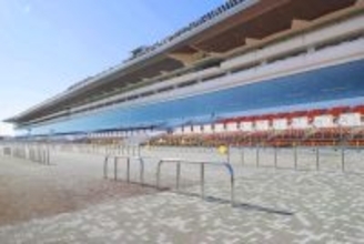 【中山競馬・５日の馬場】芝は雨の影響で内側の荒れが進み、直線は内より外の方が伸びる　砂は逃げ、先行が有利