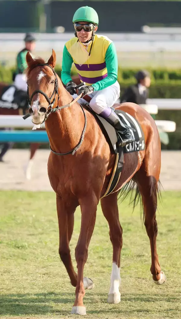 土曜京都競馬場の注目激走馬…京都１１Ｒ天王山ステークス