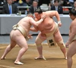 琴桜、夏場所へ気合「世の中ゴールデンウィークですけど、僕らは稽古漬け」