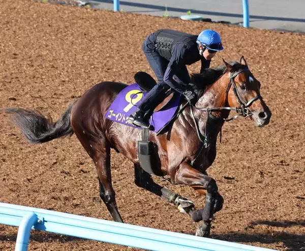 【注目馬動向】青葉賞馬ゴーイントゥスカイは新潟記念の予定を変更しセントライト記念へ　鞍上は引き続き武豊騎手の予定