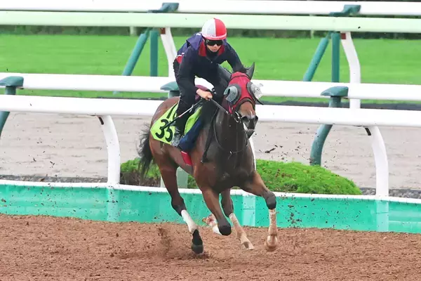 【函館２歳Ｓ】５０００勝達成の武豊騎手が今週も主役　シグレで狙う２９年ぶりＶ「まだ函館３歳Ｓだったときに…」