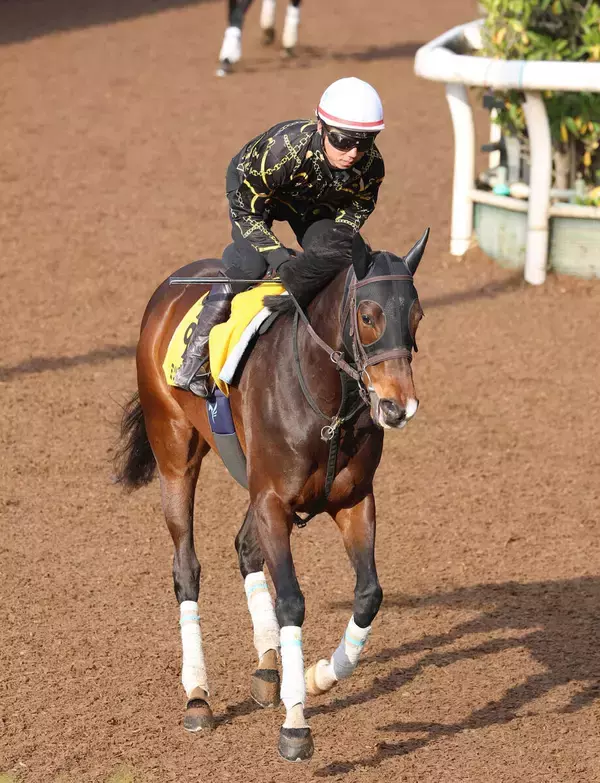２４年愛知杯覇者のミッキーゴージャスが競走馬登録抹消　ノーザンファームで繁殖入りの予定
