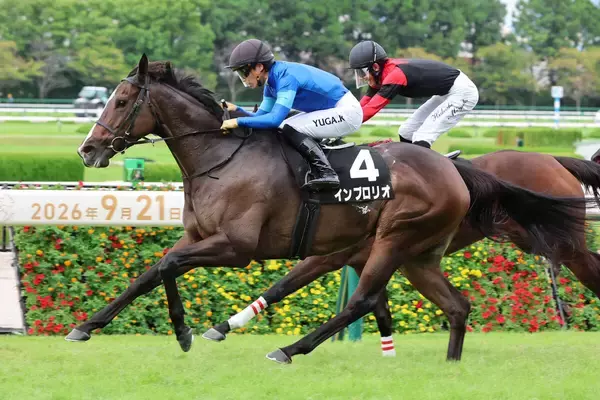 【阪神１１Ｒ・道頓堀Ｓ】インブロリオが好位から抜け出してオープン入り　川田将雅騎手「いい走りができました」