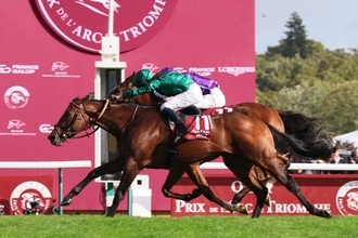 １０月４日当日に凱旋門賞ＰＶを東京競馬場で開催　日本勢からはメイショウタバルとアドマイヤテラが参戦