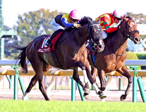【アイルランドＴ・陣営談話】１０００メートル通過５７秒９で逃げたセキトバイーストの浜中俊騎手「去年はスローペースにして...」