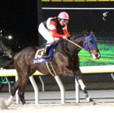 【注目馬動向】ブルーバードＣ制したフィンガーは美浦に帰厩　田中博調教師「変わりないです」