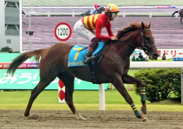 【スプリングＳ】地方馬のロードレイジングが最終追い切り　加藤誠調教師「調子自体は平行線で悪くない」