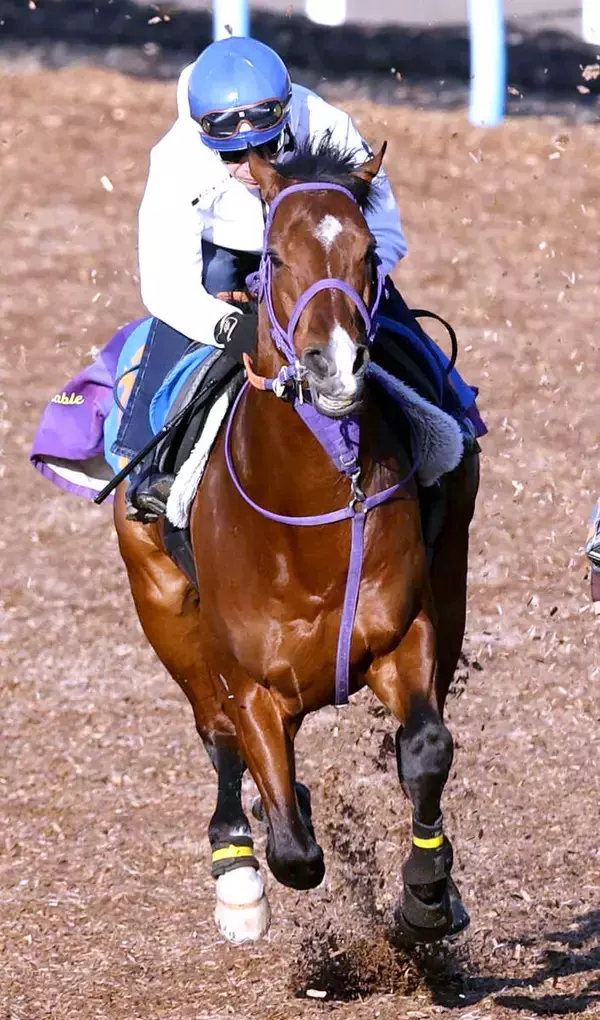 【金鯱賞】柴田善臣騎手誓った！天国の嶋田賢オーナーに捧げるディマイザキッドＶ