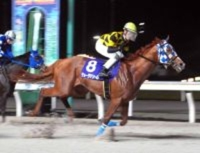 【京成盃グランドマイラーズ】ジョージテソーロが重賞初制覇！落合玄太騎手「いい反応してくれた」ウィリアムバローズと浦和勢ワンツー！～船橋競馬