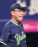 「【ヤクルト】今季初の３連敗で首位陥落　池山隆寛監督「いち早く連敗を止めたい」」の画像1