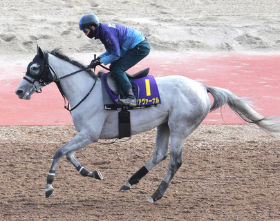 【天皇賞・春・ヤマタケの特注馬】上積みしかないアクアヴァーナルが常識打ち崩す　陣営「いい形でいい条件のＧ１に」