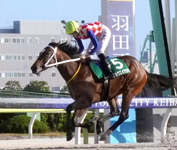 【大井競馬】新種牡馬インティが産駒初出走で初勝利　南関東で今年最初の新馬戦をキョウエイアカギがＶ