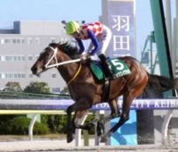 【大井競馬】新種牡馬インティが産駒初出走で初勝利　南関東で今年最初の新馬戦をキョウエイアカギがＶ