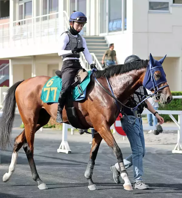 【ＰＯＧ】マカヒキ×アパパネのククイプカは札幌競馬場でゲート試験へ向け調整中　長浜鴻緒騎手「走りは素軽く背中も柔らかい」