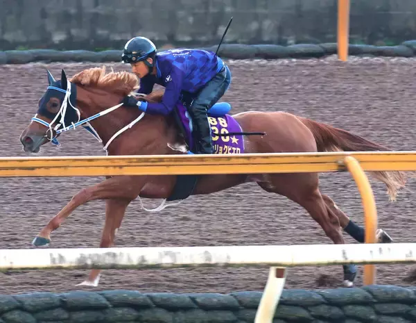 【注目馬動向】ジュウリョクピエロがエリザベス女王杯に向けて初時計　寺島調教師「何の問題もないですね」