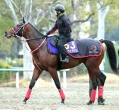 【ホープフルＳ】開業１年目初めての重賞出走がＧ１　「馬もやる気になっています」浅利調教師ノーウェアマンに手応え