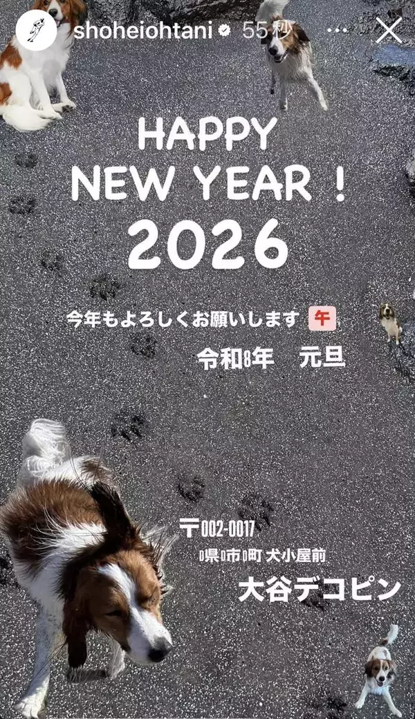 大谷翔平、郵便番号「〒００２－００１７」愛犬・デコピンの住所から年賀状に反響「住所、犬小屋前なんだね」