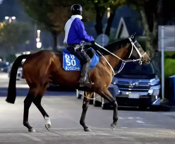 【注目馬動向】２０２３年ＪＢＣクラシックなどＪｐｎ１・２勝のキングズソードが左前第一指骨骨折