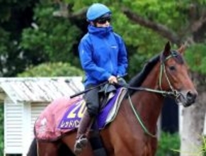 単勝１・３倍で思わぬ馬券圏外に「飛ぶんかい」「ホンマに萎えてる」実績最上位馬が敗れた中山７Ｒの波乱劇