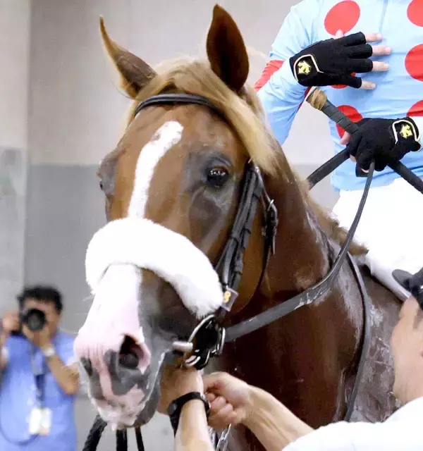 アーモンドアイの子プロメサアルムンドの転厩先が決定　国枝調教師の定年引退に伴い田中博厩舎へ