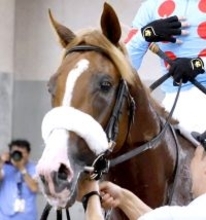 アーモンドアイの子プロメサアルムンドの転厩先が決定　国枝調教師の定年引退に伴い田中博厩舎へ