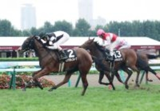 【注目馬動向】桜花賞に出走予定のビッグカレンルーフは追い切り後に骨折が判明　全治は６～９か月