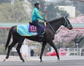 「フレッシュでいい印象」＆「ここは通過点にしてほしい」と話す有力馬２頭出し　黒岩調教師が土曜重賞ダブル制覇狙う　　　