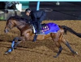 【香港・チェアマンズＳＰ】“史上最強”カーインライジングに４度目の挑戦　パワーアップしたサトノレーヴ今度こそ！