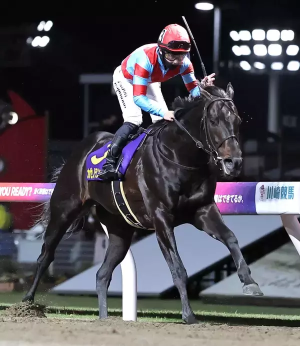 【注目馬動向】カゼノランナーはＧ１級競走連勝かかる帝王賞へ参戦決定　ヤマニンブークリエは新潟大賞典