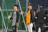 「【巨人】東京ドームで普段通り試合前練習スタート　阿部慎之助前監督が辞任、交流戦初戦から橋上秀樹監督代行」の画像1