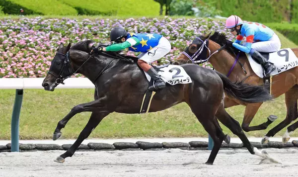 【福島６Ｒ・２歳新馬】元障害名ジョッキーが仕上げたエランヴィータＶ　三浦皇成騎手「馬群でいい競馬もできたと思う」