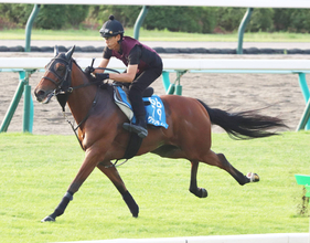【札幌記念】グランディアは芝コースを単走で素軽い動き　陣営「すごく良かった前走に近い状態になってくれる」