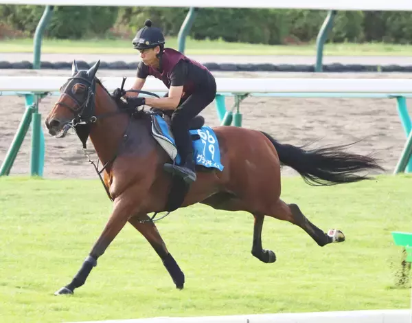 【札幌記念】グランディアは芝コースを単走で素軽い動き　陣営「すごく良かった前走に近い状態になってくれる」