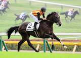 「【注目馬動向】絶好調のエフフォーリア産駒が芙蓉Ｓへ　叔父にクロワデュノールがいるジョドレルバンクの次走候補に」の画像1